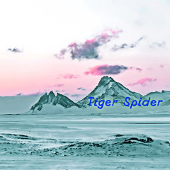 Tiger Spider