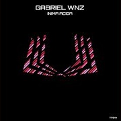 Gabriel WNZ - Sbebetechno (Original Mix)[Teoria Perfekta]