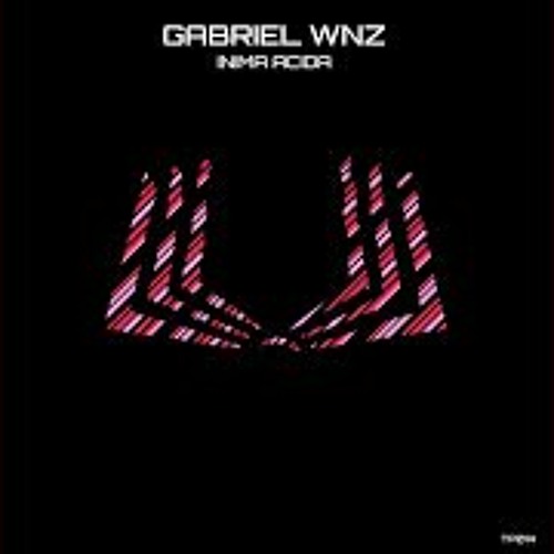 Gabriel WNZ - Sbebetechno (Original Mix)[Teoria Perfekta]