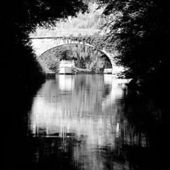 Along The River - MrBlue