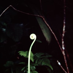 The Best Kind Of Magic