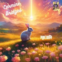 Carmine Bridges - Placidity (Mr Silky's LoFi Beats)