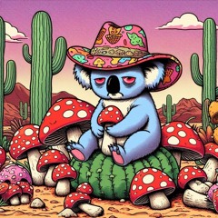 koala loop #1 "the lunch break"