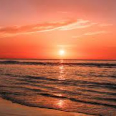 The Sunrise (Preview)