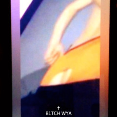 B1TCH WYA (diss)