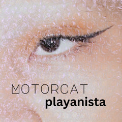 Playanista