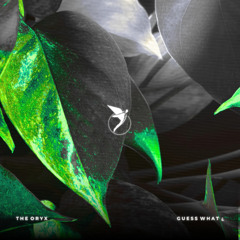 PREMIERE: The Oryx - Guess What ¿ (Extended Mix) [Astral]