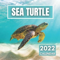 P.D.F.❤️DOWNLOAD⚡️ Sea Turtle Calendar 2022 Beautiful Sea Turtle Photos Perfect for Adults a