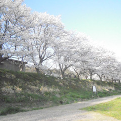 ᶜˡⁱⁿᵒᵐᵃⁿⁱᵃ instrumental