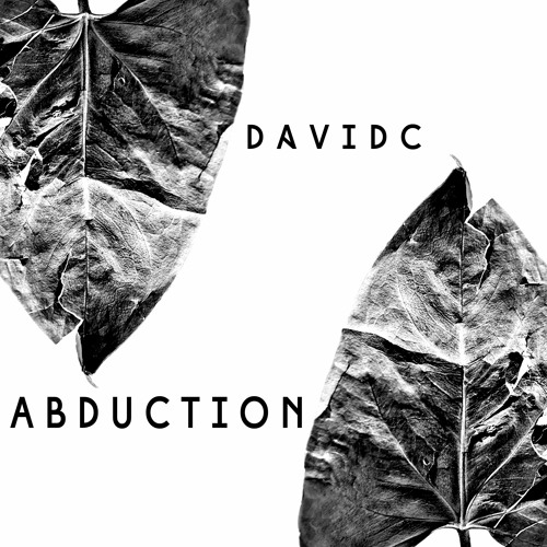 DavidC - Abduction (Original Mix)