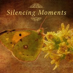 String Quartet No. 60 in G Major, Op. 76 No. 1, Hob. III:75: IV. Finale