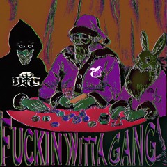 FUCKIN WITTA GANG (Prod. SNAREVOID/Feat. D3X$)