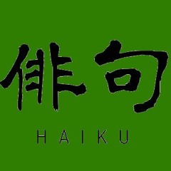 Haiku 1  - (Passeggiata in versi) . . . . . 00:44