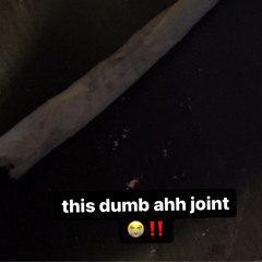 Jailhouse Freestyle (feat. KREEP CONJUREMAN, LXVEVIBEZ, & mindSCAPE)