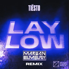 Tiesto - Lay Low (Marwan El-Meligy Remix) free download
