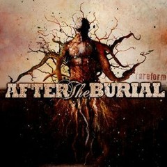After The Burial - Cursing Akhenaten Instrumental Cover