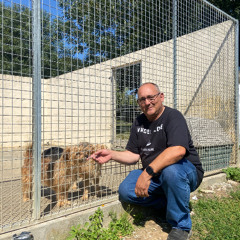 "On est débordé" : la SPA du Ponthieu-Marquenterre recense près de 80 animaux abandonnés en juillet