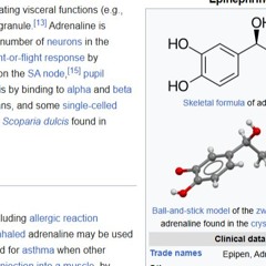 whatchu want ft seph