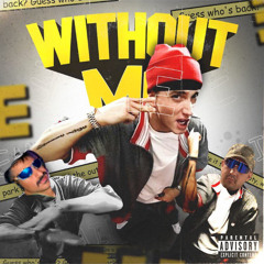 Eminem-Without Me (BennyFitz ,TM Shores tech house flip)