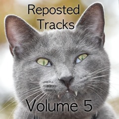 Reposted Tracks Vol. 5 (~4hrs)
