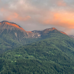 Crimson Canopy