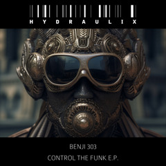Benji303 - Control The Funk (D.A.V.E. The Drummer Remix)