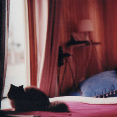 pandora (para cindy) (cocteau twins)