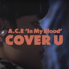 Shawn Mendes - In My Blood (Cover by A.C.E)