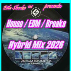 Godzilla beats : House / EDM / Breaks Hybrid Mix 2026