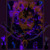 Artwork for ZED