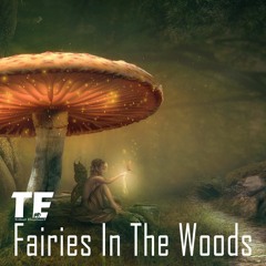 Fairies In The Woods
