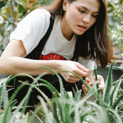 Mi historia con el aloe y el emprendimiento natural