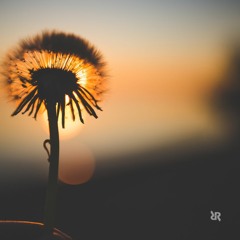 Follow The Sun - Rodrigo Ribeiro Remix