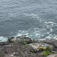 see you tmr feat KRA$H