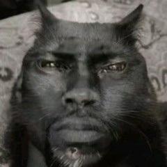 бр бр падрачил