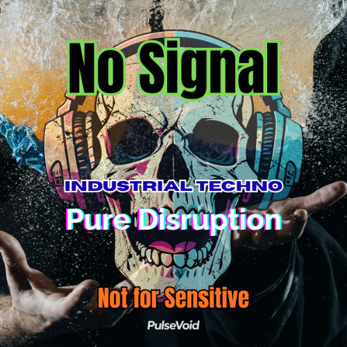 No Signal