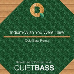 Iridium/Wish You Were Here (QuietBass Remix)