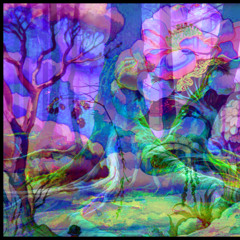 a whole different time period | untitled project 002 sessions | ambient atmospheric jungle woodland drone psyche horror WIP | cowbell 55 bpm august 9 take 1