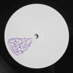 Guava - The Dolphins Are Back In Venice - WLFRK002 (Previews)