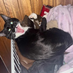 my songs from shortest to longest