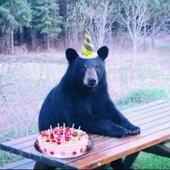 да нинджа х омонра - ой