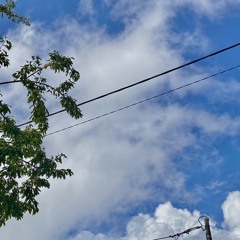 Lofi ~