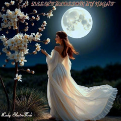 Desert Blossom At Night
