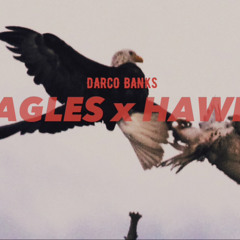 “EAGLES X HAWKS”