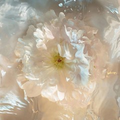 songs that cut through diamonds