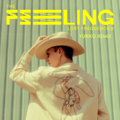 Lost Frequencies - The Feeling  ( Yuriko Remix )