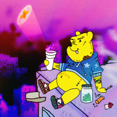 WINNIE THE PLUGG