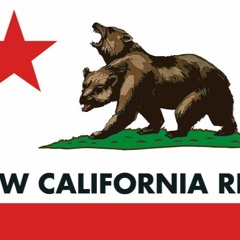 Patrolling the Mojave makes you wish for nuclear beats