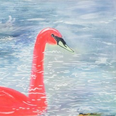 Red Swan - STBB 724