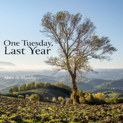 One Tuesday, Last Year